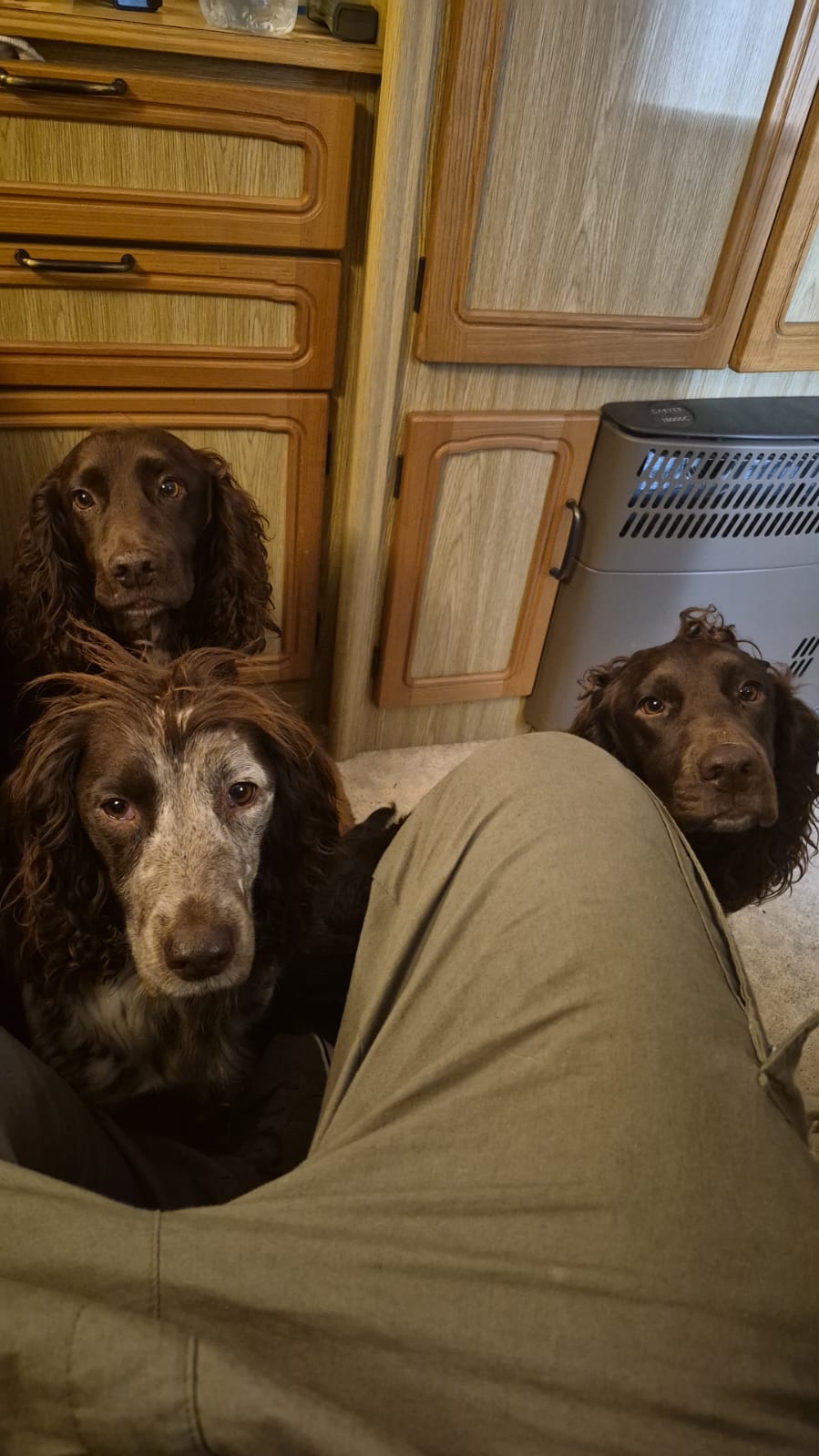 All three resident food critics gathered together, awaiting a plate