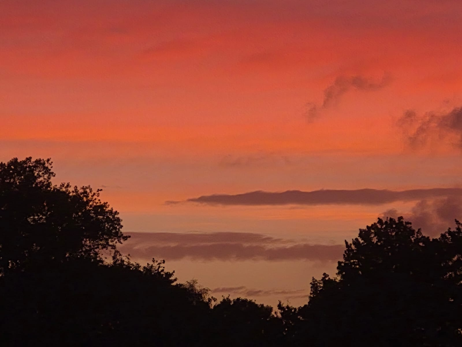 Sunset over the grounds of La Awning