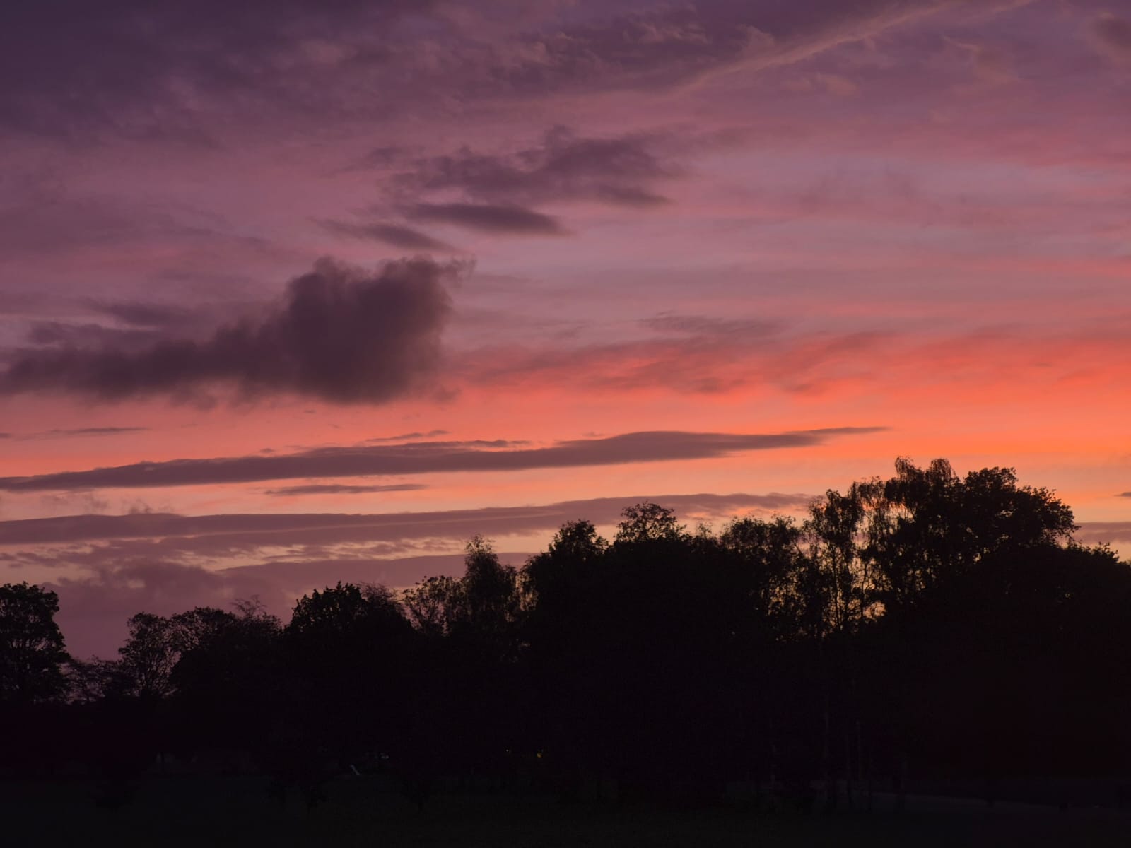 Evening sunset light across the site