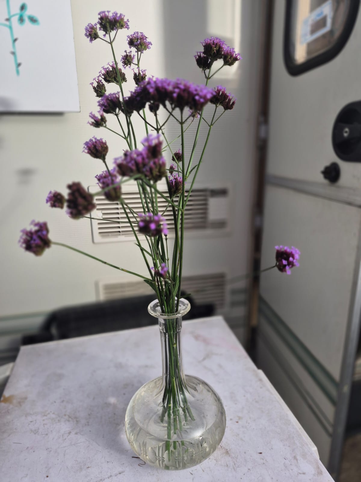 Potted flowers around the dining area
